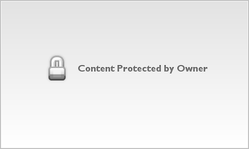 Working folder